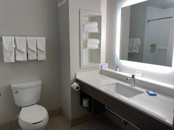 Holiday Inn Express Hotel & Suites Binghamton University-Vestal image 4